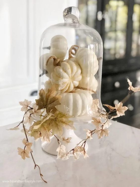 White Pumpkin Decor cloche vignette