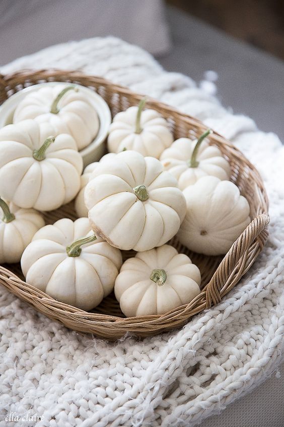 White Pumpkin Decor wicker tray