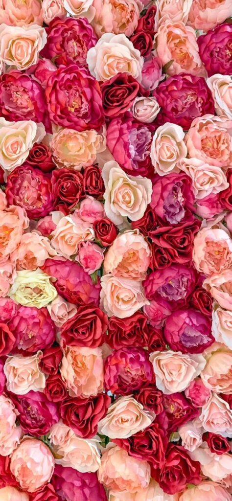 valentine's wallpaper flowers