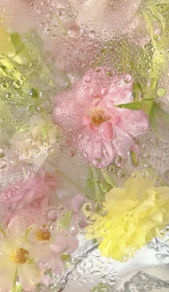 spring phone wallpaper condensation