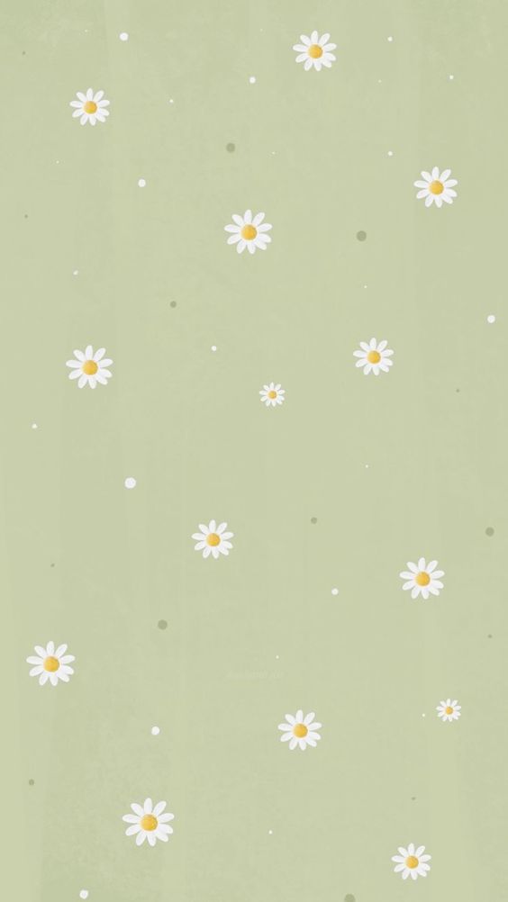 spring phone wallpaper simple daisies